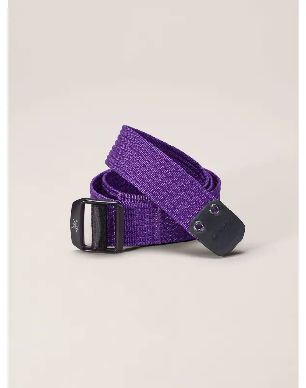 Conveyor Belt 38 online