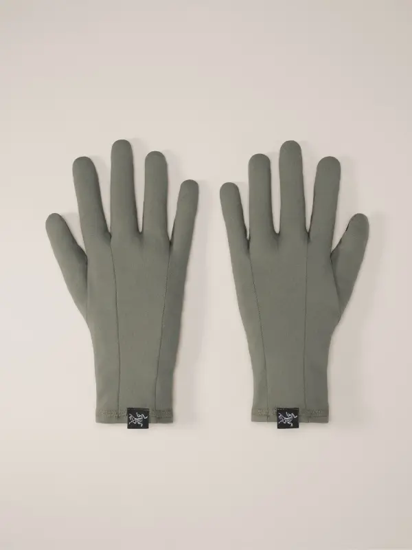 Rho Glove online
